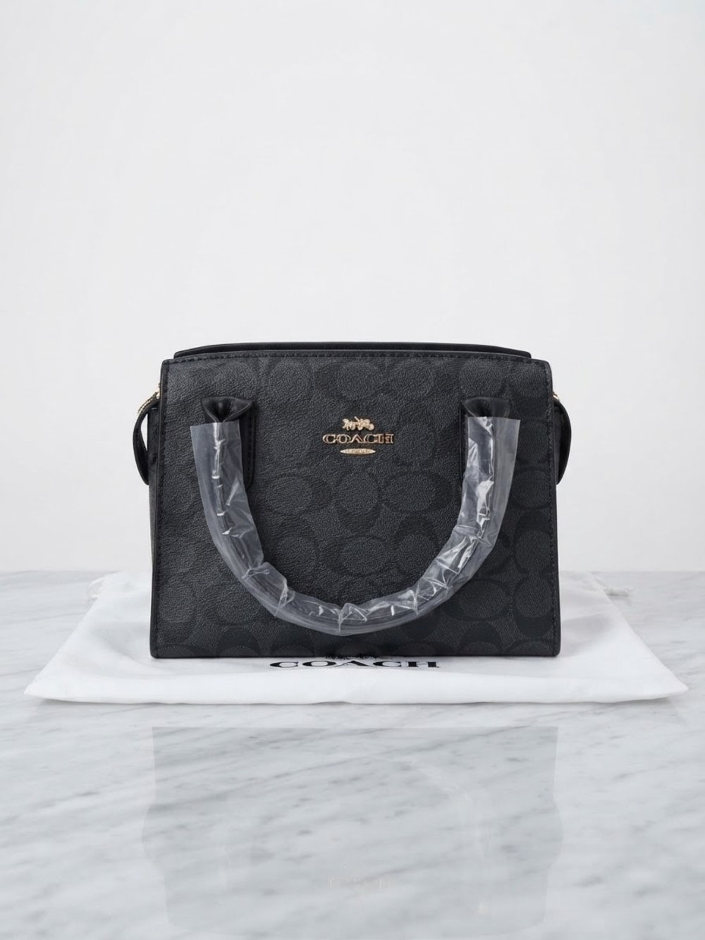 Mini Coach For Women